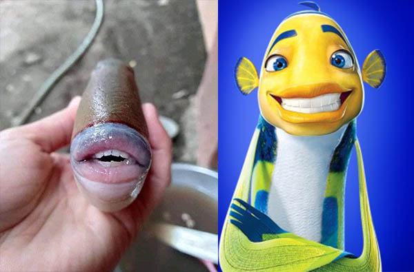 「人嘴魚」面目令人驚恐！人類牙齒配上性感厚唇，網友回：我有一個大膽的想法！