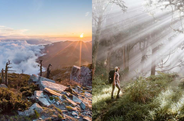 登山路線「森林探險」5大推薦！除了嘉明湖，登山客搶登的阿里山「眠月線」也正夯！