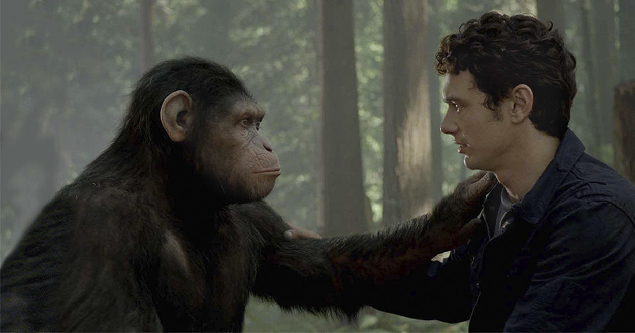 猿人電影演的都是真的？解析大腦演化初衷，讓你愈「動」愈成功！