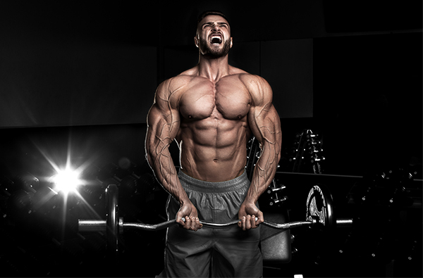 【型男健身】打造塊塊分明的完美腹肌！6招ABS鍛鍊動作強化你的核心肌群