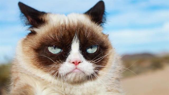 OS:我就真的沒有不爽咩~