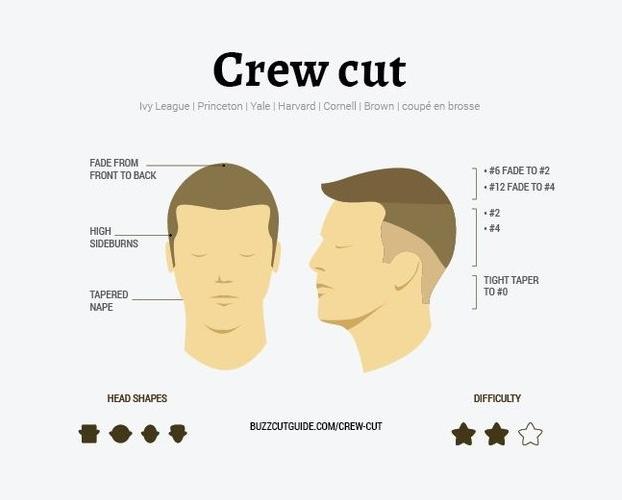 Crew cut перевод. Стрижка фейд мужская схема. Низкий фейд схема. Buzz Cut стрижка схема.